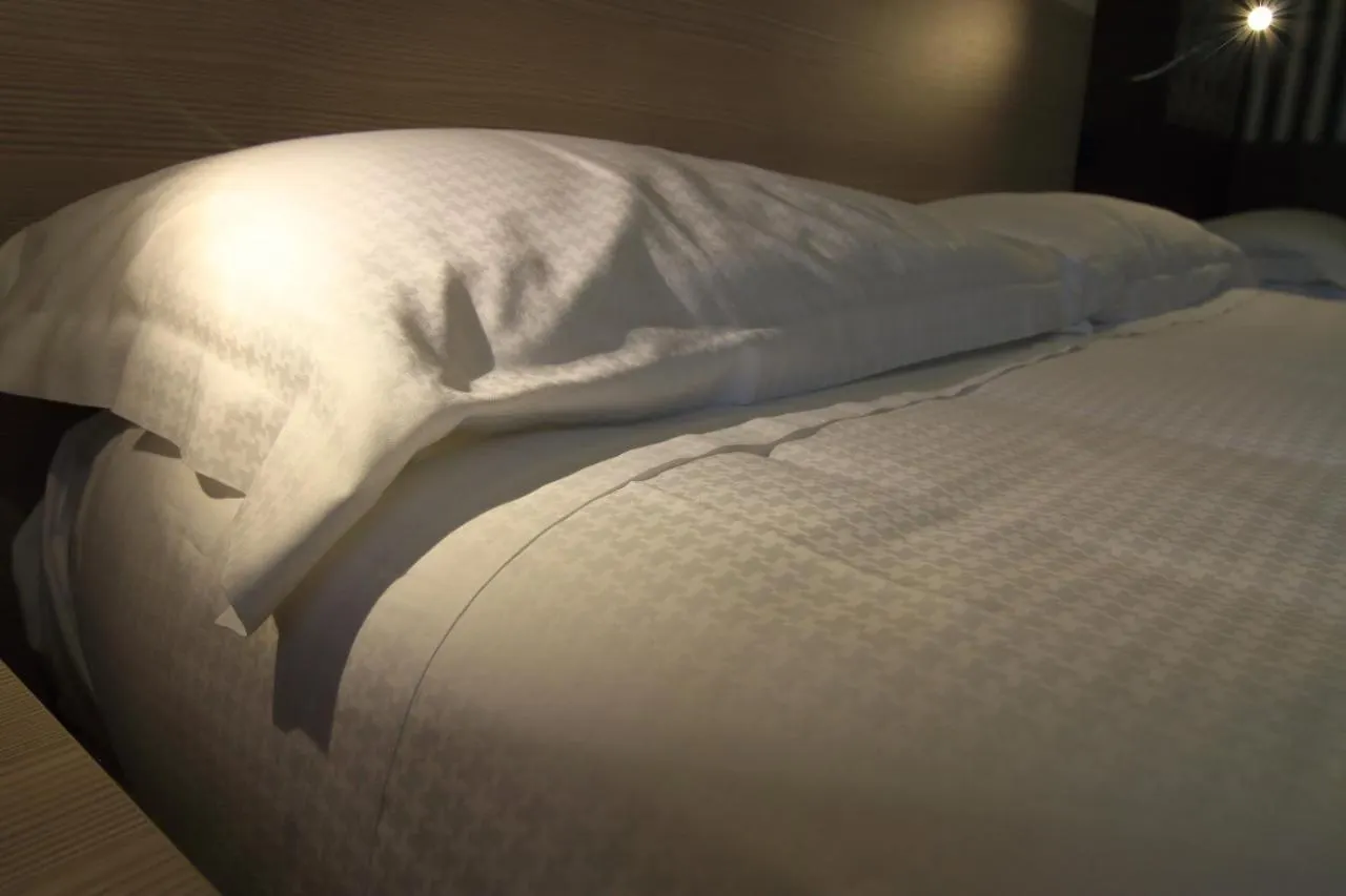 Hotel Metro Milan 3*,